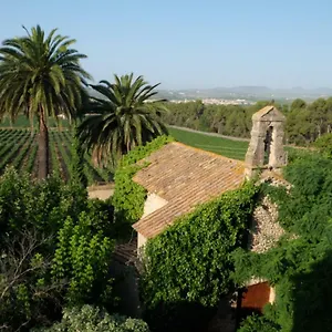 Villa Mas Palou, Pla del Penedès